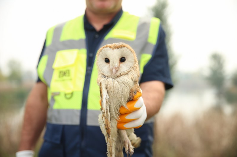 A A 20251105 39623827 39623824 S A K A R Y A D A A G A C T A K I O L T A M I S I N A S I N A T A K I L A N P E C E L I B A Y K U S K U R T A R I L D I 800X533