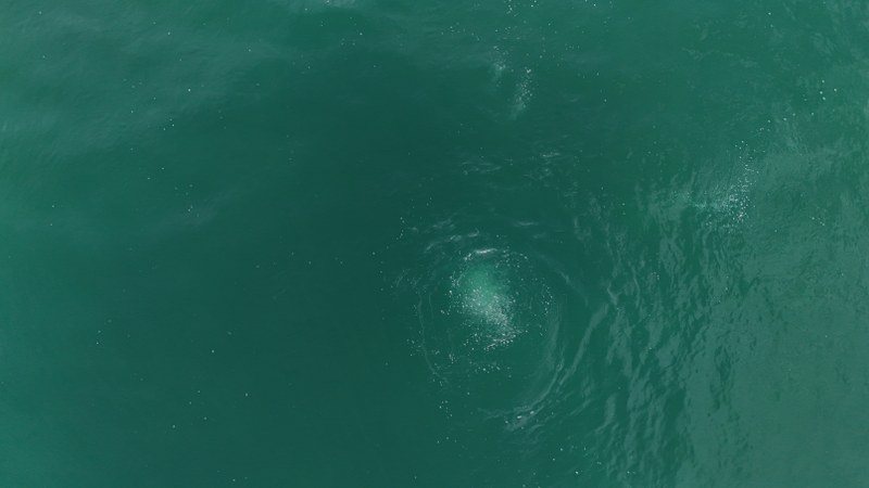 A A 20251119 39751437 39751421 S A P A N C A G O L U N D E O L U S A N K A B A R C I K L A R S U A L T I N D A N V E H A V A D A N G O R U N T U L E N D I 800X450