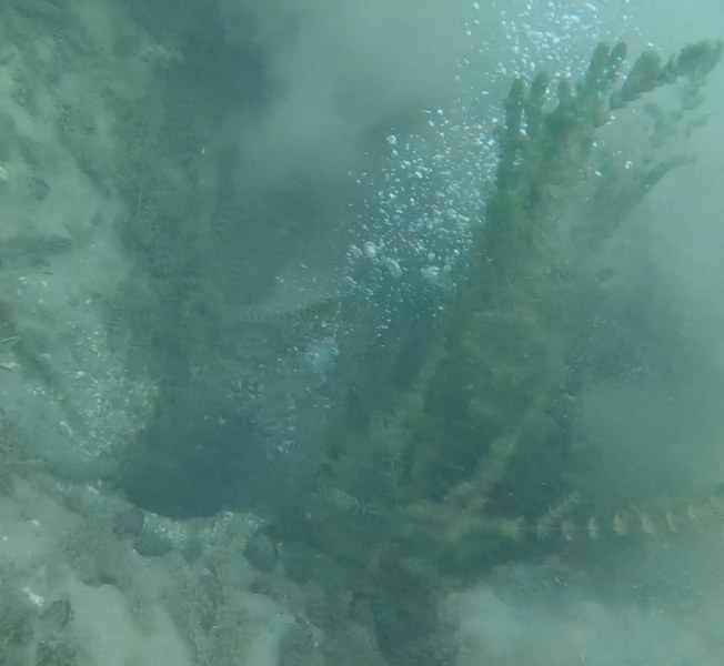 A A 20251119 39751437 39751436 S A P A N C A G O L U N D E O L U S A N K A B A R C I K L A R S U A L T I N D A N V E H A V A D A N G O R U N T U L E N D I 652X600