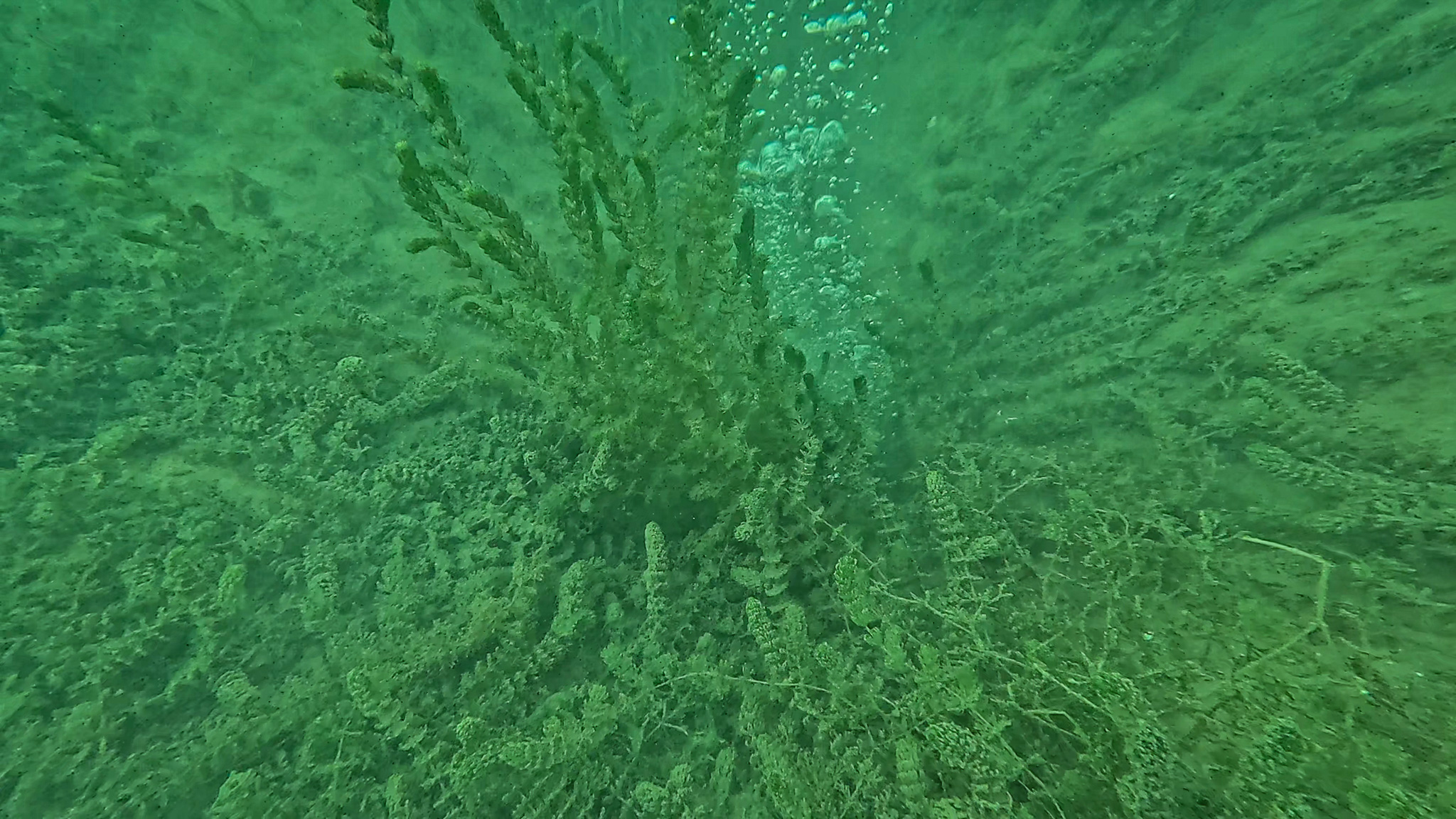 A A 20251120 39757423 39757414 S A P A N C A G O L U N D E O L U S A N K A B A R C I K L A R I N S U K A L I T E S I N E Z A R A R V E R M E D I G I B E L I R L E N D I