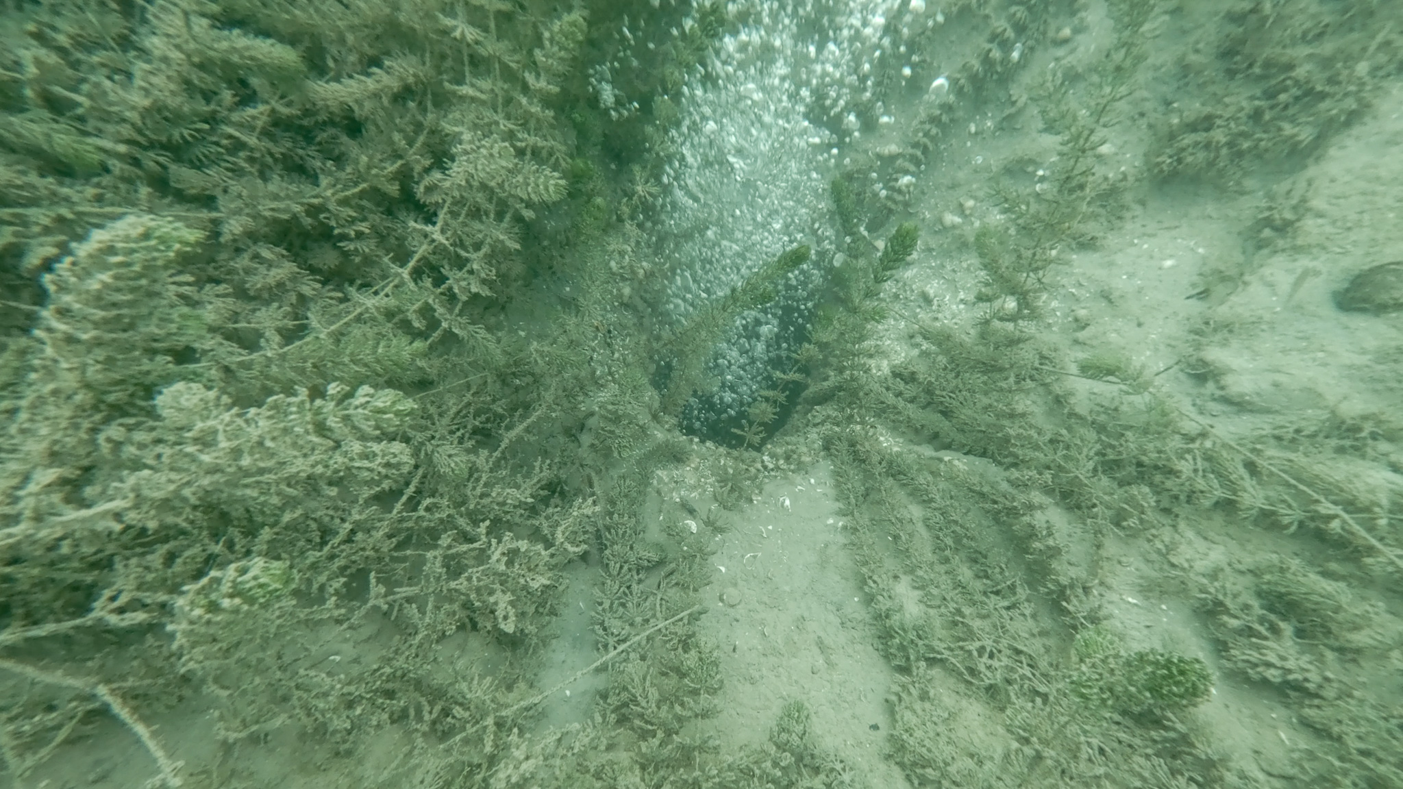 A A 20251120 39757423 39757415 S A P A N C A G O L U N D E O L U S A N K A B A R C I K L A R I N S U K A L I T E S I N E Z A R A R V E R M E D I G I B E L I R L E N D I