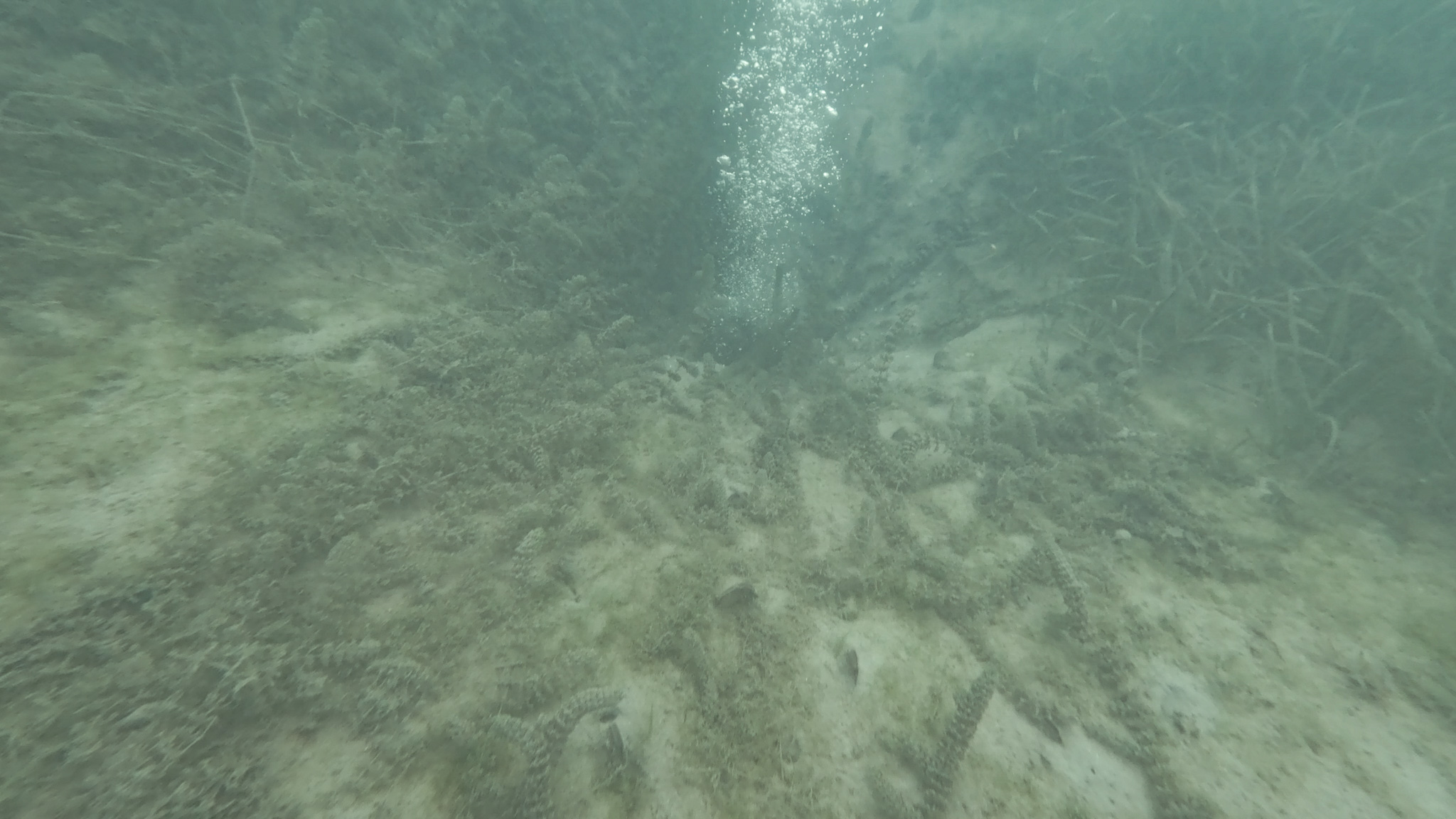 A A 20251120 39757423 39757416 S A P A N C A G O L U N D E O L U S A N K A B A R C I K L A R I N S U K A L I T E S I N E Z A R A R V E R M E D I G I B E L I R L E N D I