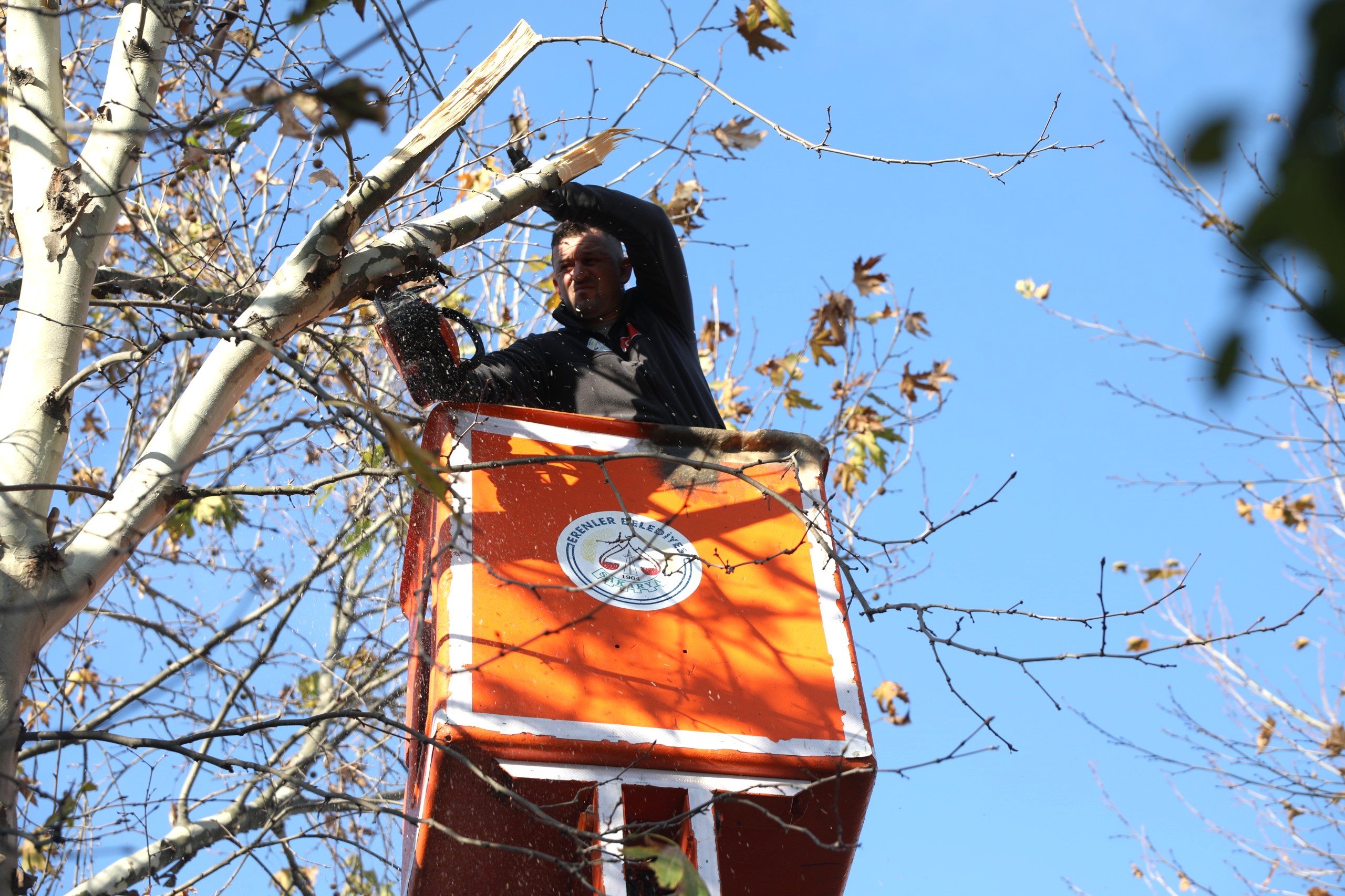 Erenler’de Park Ve Bahçelerde Çalişmalar Hiz Kesmi̇yor (3)