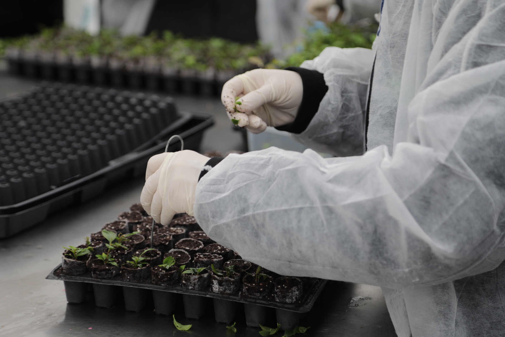 2Ce16C8A362543Ad91A35D99F50827Cf638F43D96Bbb4Ccaacd9Db090183F79E