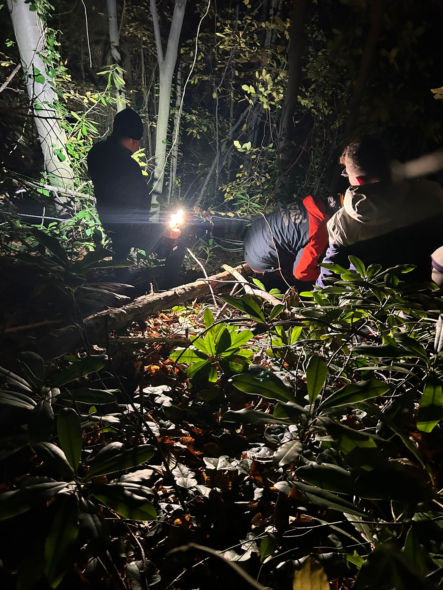 A A 20251217 40009052 40009051 S A K A R Y A D A K E S I M E S N A S I N D A U Z E R I N E A G A C D E V R I L E N O R M A N I S C I S I Y A R A L A N D I