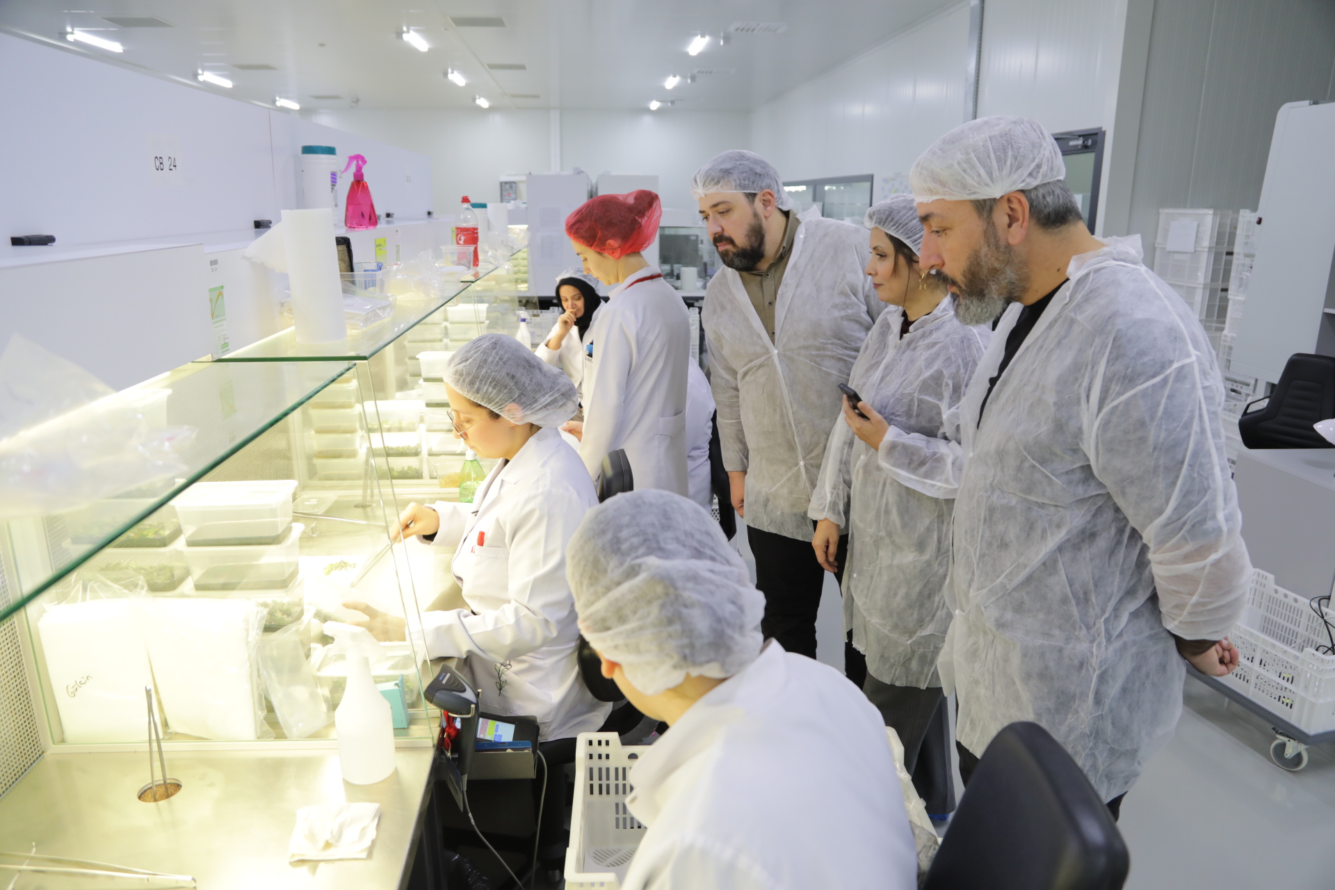 A A 20251222 40050209 40050206 S A T S O H E Y E T I D O K U K U L T U R U L A B O R A T U V A R L A R I N I B A S I N M E N S U P L A R I N A T A N I T T I