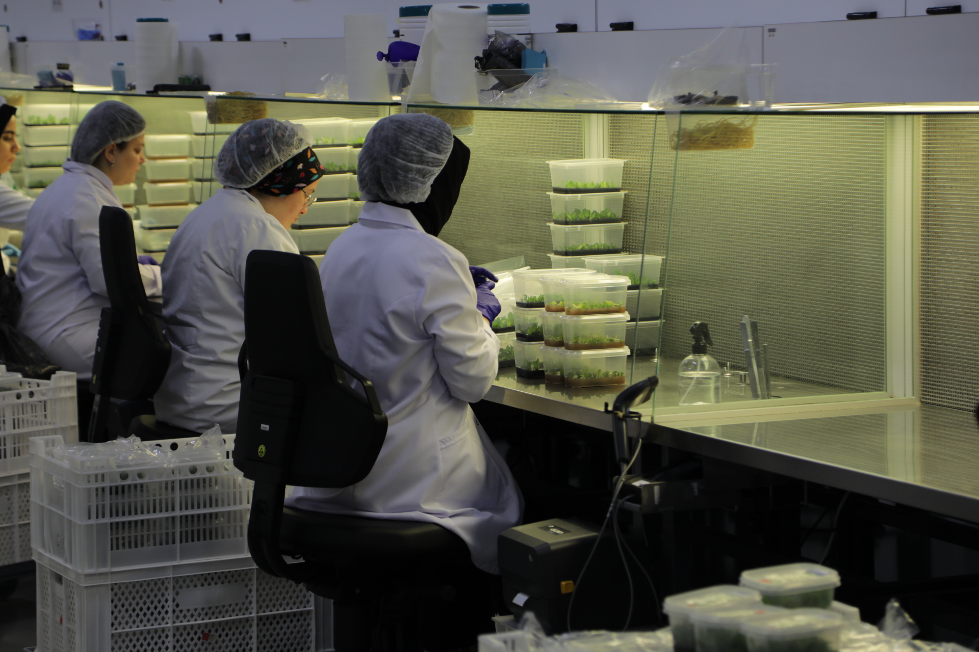 A A 20251222 40050209 40050207 S A T S O H E Y E T I D O K U K U L T U R U L A B O R A T U V A R L A R I N I B A S I N M E N S U P L A R I N A T A N I T T I