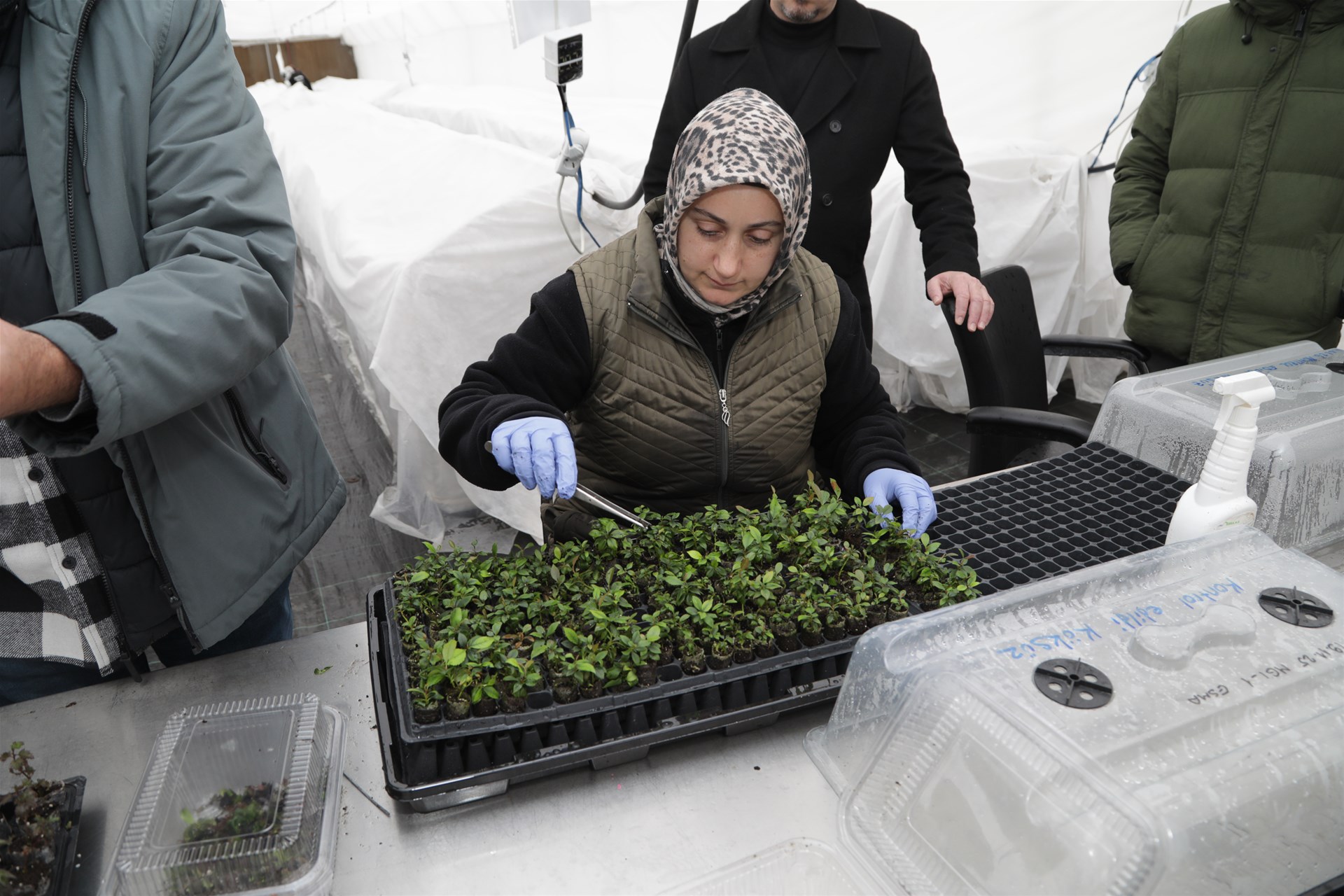 1296Ac61Dae3447B99Cf87Aee0626Fc31D745806A9084596Ac377Ac907Cba989