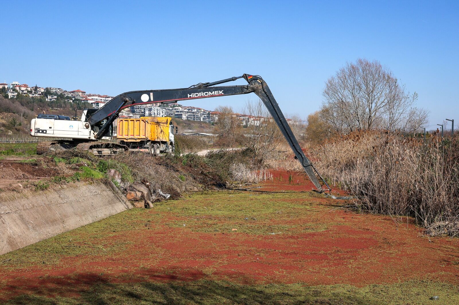 Whatsapp Image 2026 03 11 At 15.00.44 (2)