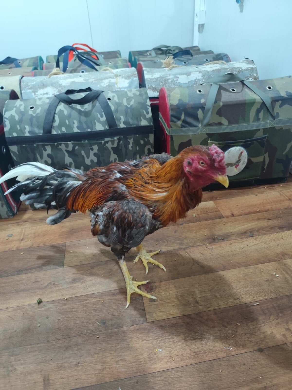 Whatsapp Image 2026 03 17 At 12.24.39