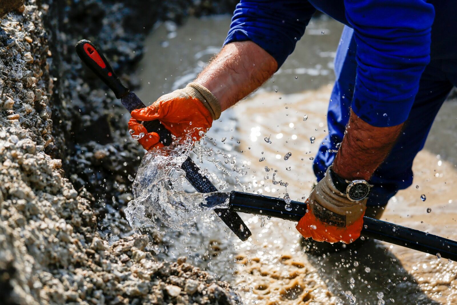 Whatsapp Image 2026 03 18 At 21.38.55 (1)