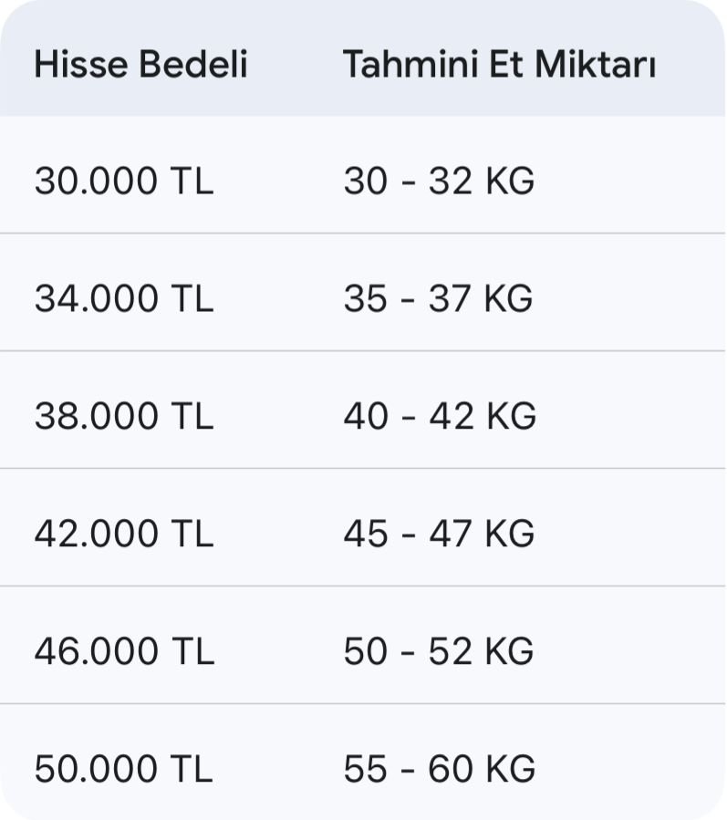 Whatsapp Image 2026 04 06 At 16.26.16