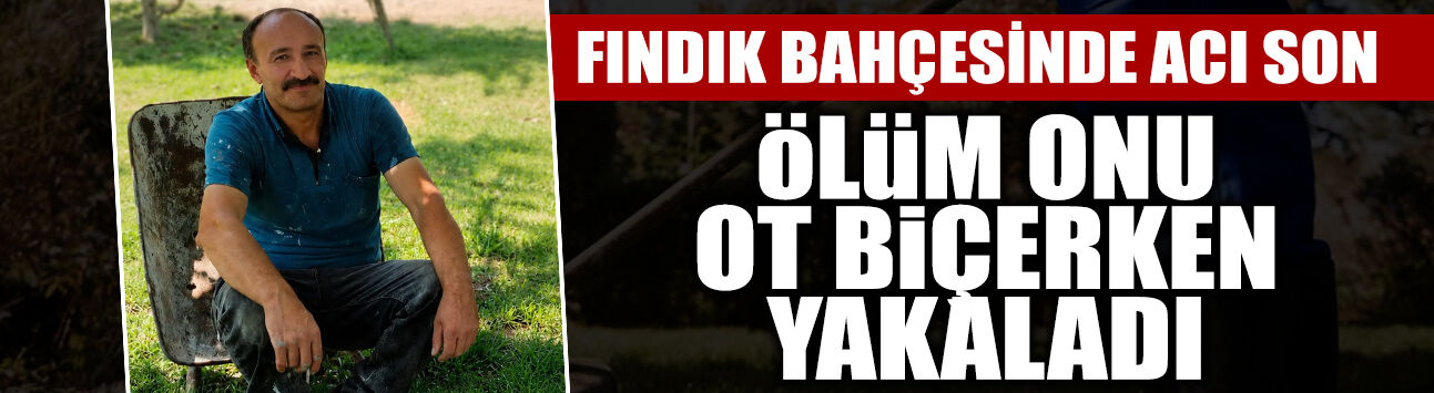 Fındık Bahçesinde Acı Son: Ölüm Onu Ot Biçerken Yakaladı