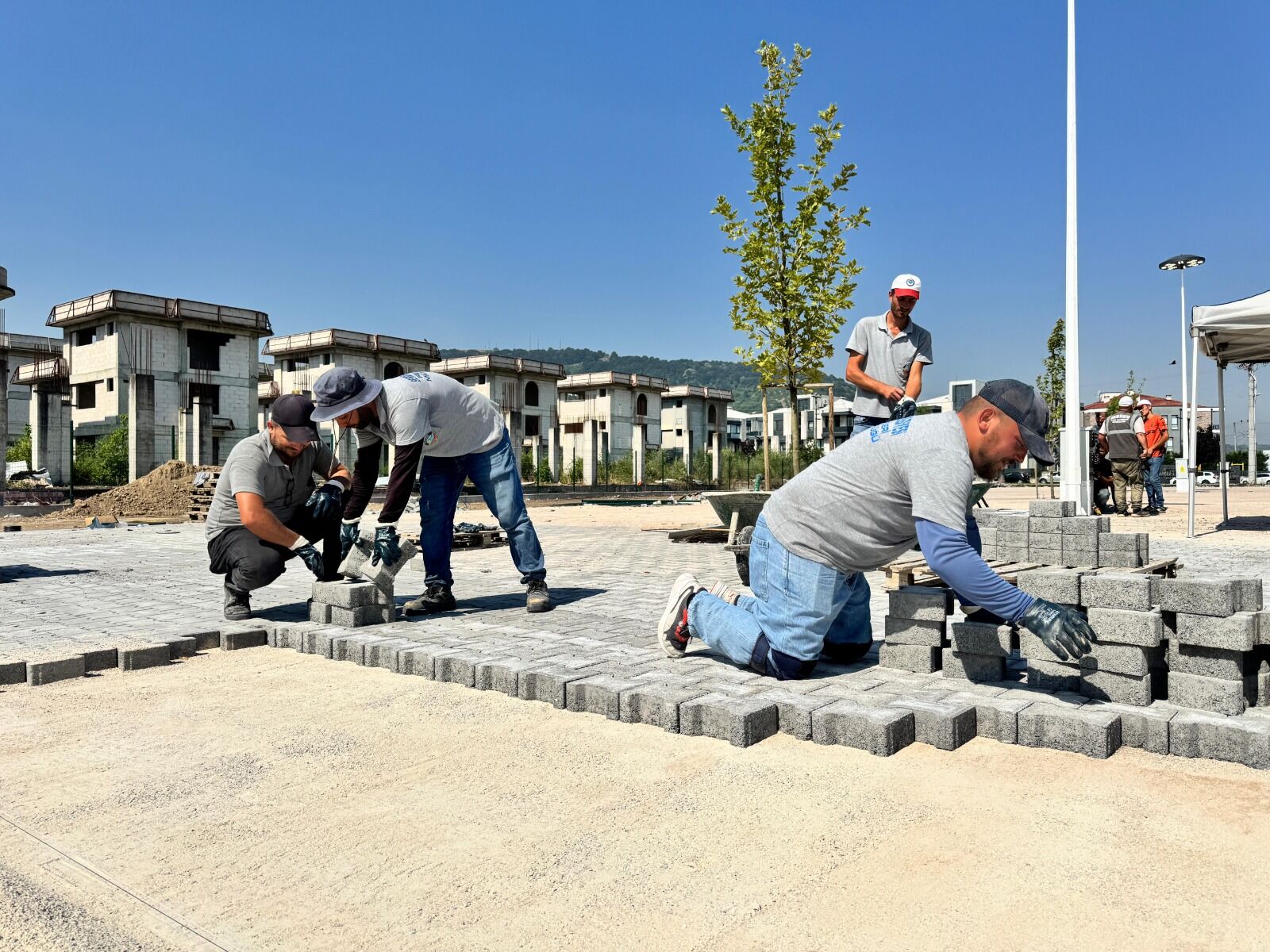 Whatsapp Image 2026 07 01 At 15.29.54 (1)