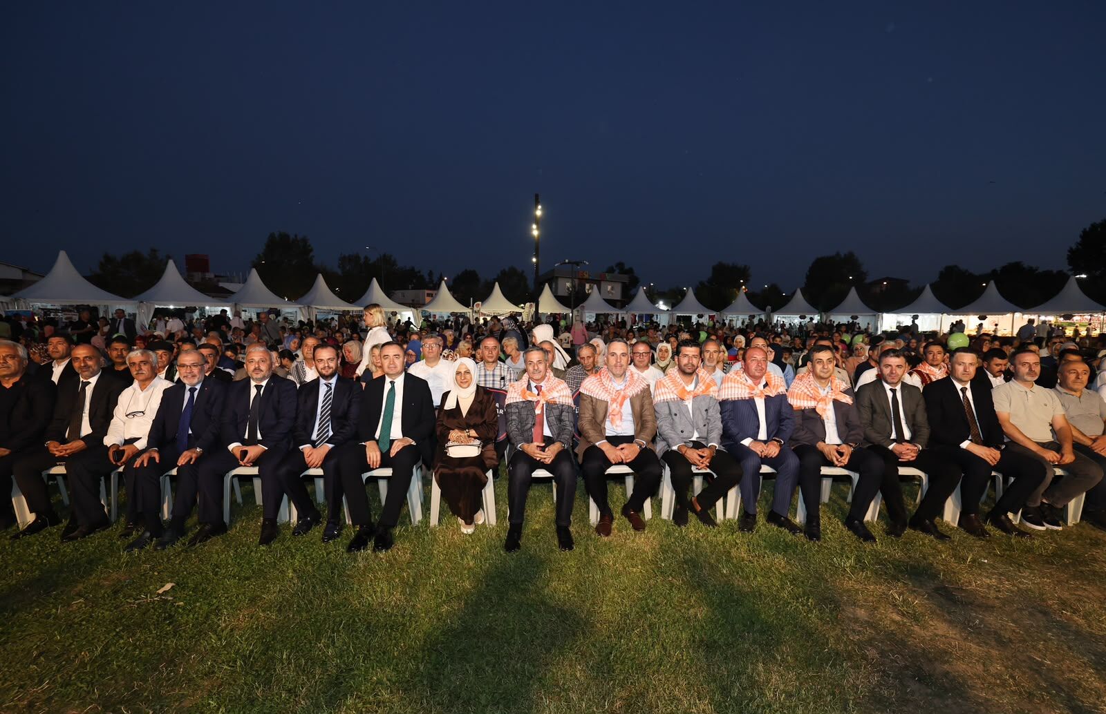 3 (43)-2
