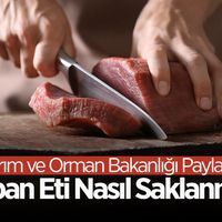 YAŞAM