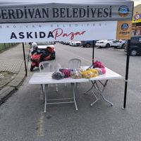 YAŞAM