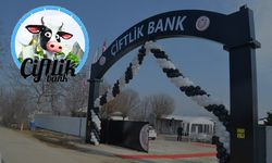 Bakan Tüfenkci'den flaş 'Çiftlik Bank' açıklaması