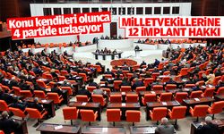 Milletvekillerine 12 implant hakkı