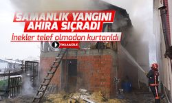 Samanlıktan sıçrayan yangın korkuttu