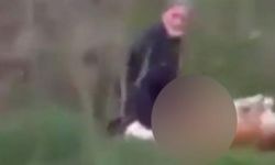 Köpeğe tecavüz eden adamdan skandal savunma: Nefsime yenik düştüm