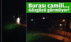 Camili'de göz gözü görmüyor..