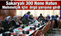 Sakaryalı 300 Nene Hatun, Mehmetçik için örgü yarışına girdi