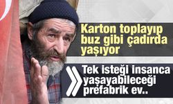 Karton toplayıp, buz gibi çadırda yaşıyor