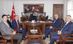 Başarılı Kaymakama ziyaret