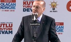 Cumhurbaşkanı Erdoğan'dan Sakarya mesajları