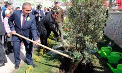 Şehir fidanlarla hayat buluyor