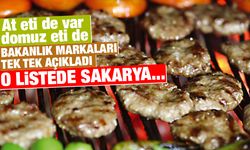 Bakanlık tek tek açıkladı! Sakarya ne durumda ?