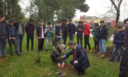 Okullarda zeytin fidanı dikme harekatı