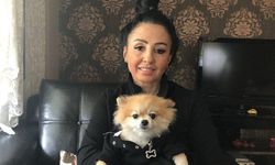 Vali evinin ve işyerinin yakınından geçemeyecek