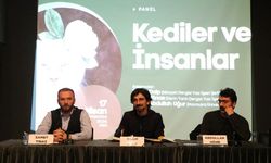 'Kedi dünyasında temel şey kokudur'