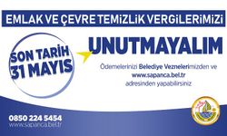 Vergi ödemelerinde son gün 31 Mayıs