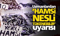 Uzmanlar uyardı hamsi nesli tükenebilir