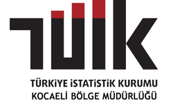 Tüketici Fiyatları Endeksi, Aralık 2020