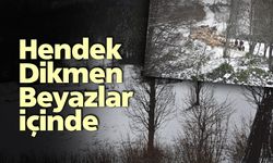 Dikmen Yaylası beyaza büründü