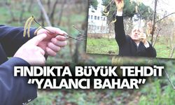 Fındıkta Büyük Tehdit, Yalancı Bahar