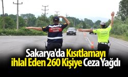 Sakarya'da kısıtlamayı ihlal eden 260 kişiye idari para cezası