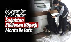 Soğuktan etkilenen yavru köpeği montu ile ısıttı