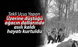 Üzerine düştüğü ağacın dallarında asılı kaldı hayatı kurtuldu