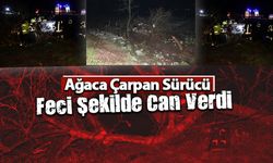 Araçtan Cansız Bedeni Çıkarıldı