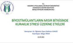 Sakarya’nın Tarımı Lisansüstü Düzeyde Ele Alınıyor