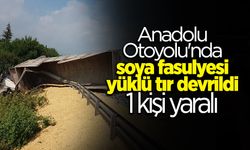 Soya fasulyesi yüklü tır devrildi: 1 yaralı