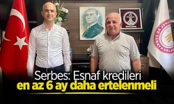 Esnaf kredileri en az 6 ay daha ertelenmeli