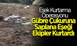 Eşek Kurtarma Operasyonu