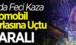 Otomobil Mısır Tarlasına Uçtu