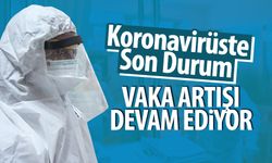 Koronavirüste son durum